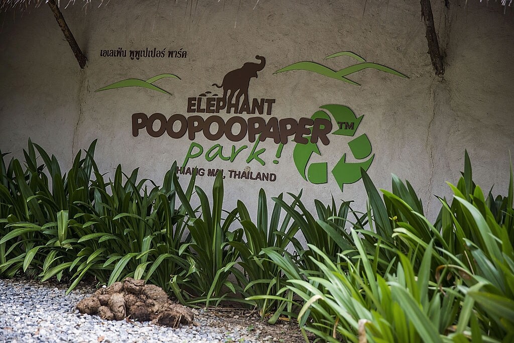 Poopoopark Thailandia: al 'Poo poo paper Park' si produce la carta più ecologica ...