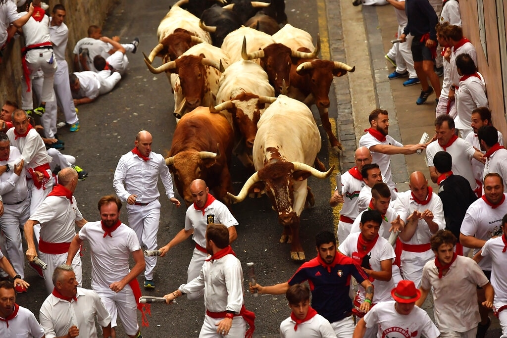 Pamplona, la prima corsa dei tori della festa di San Firmino. Ci sono i