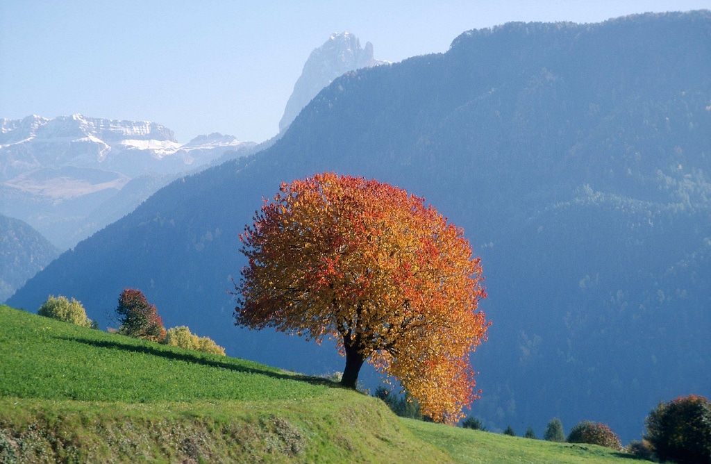 L'Estate è finita, oggi è il primo giorno d'Autunno - photogallery