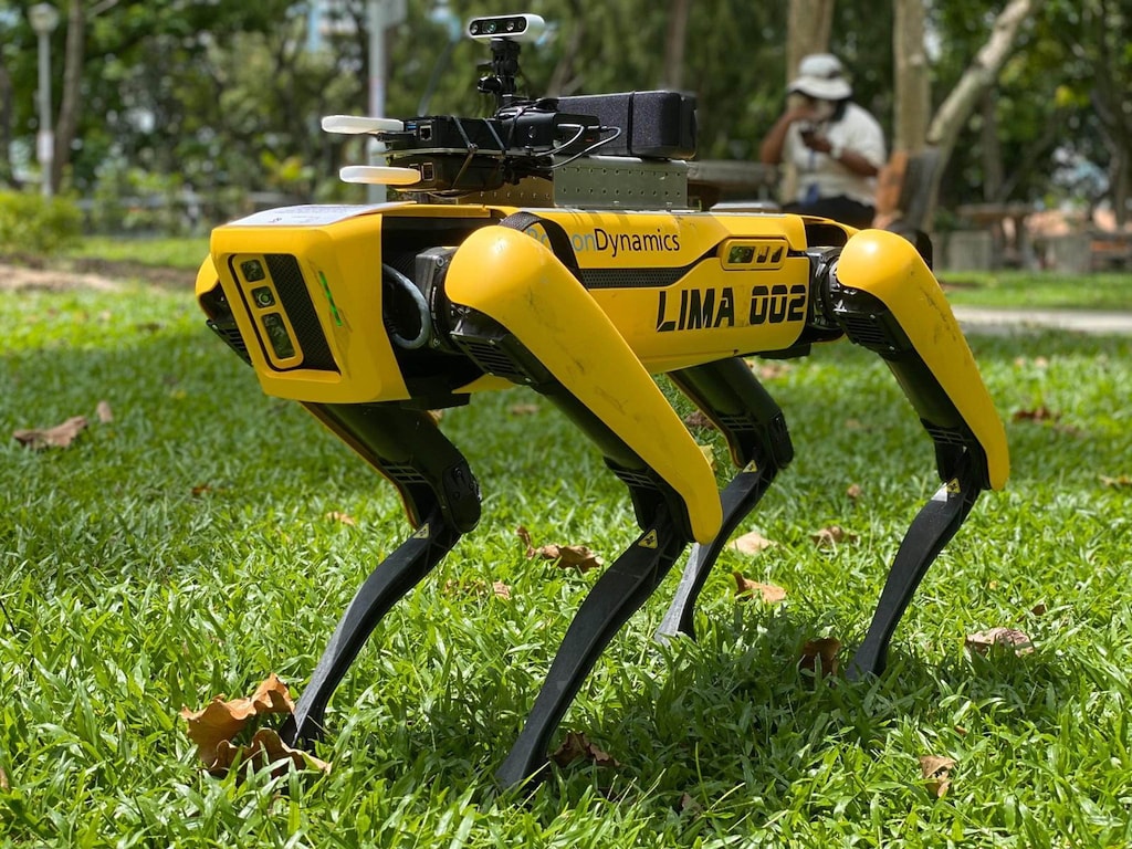 Cane robot fa guardia contro violazioni di distanziamento sociale: la ...