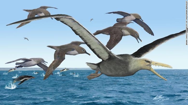 Quale Animale Piu Grande Mai Esistito Sulla Terra