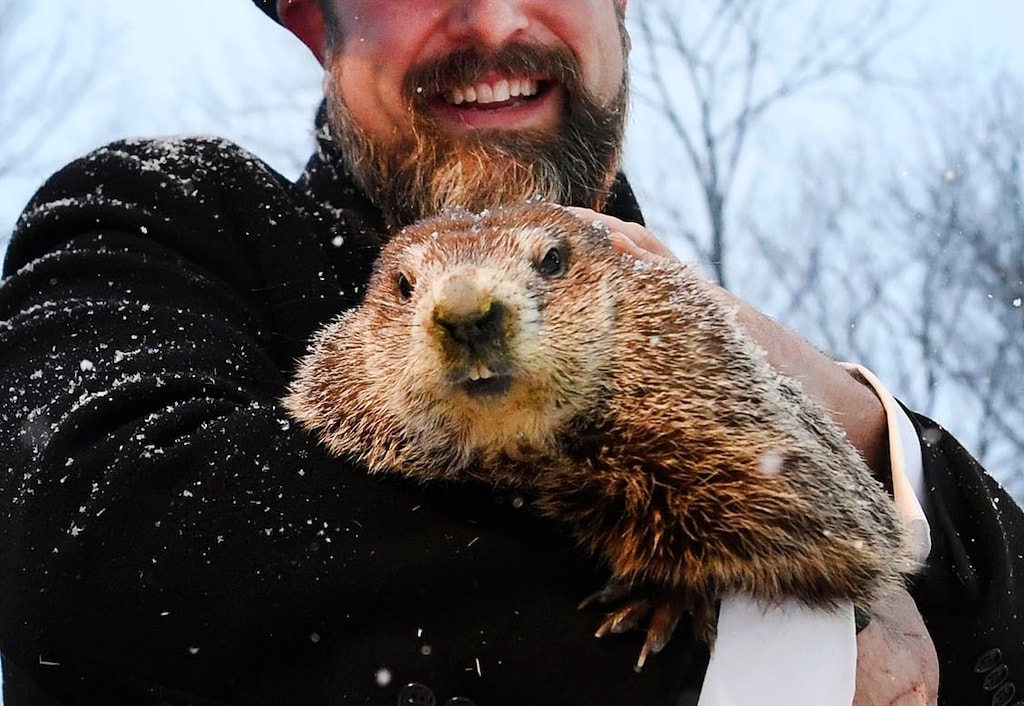  Il Giorno Della Marmotta Altre Sei Settimane Di Freddo Parola Di 