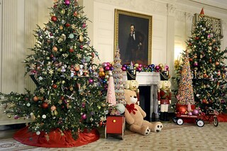 Albero Di Natale Washington.Barack E Michelle Esageratamente Natale Photogallery Rai News